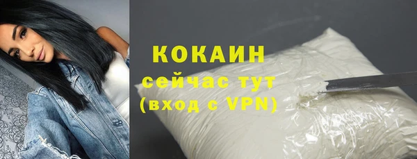 твердый Абаза