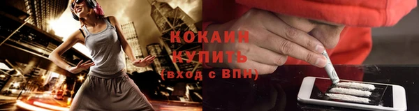 твердый Абаза