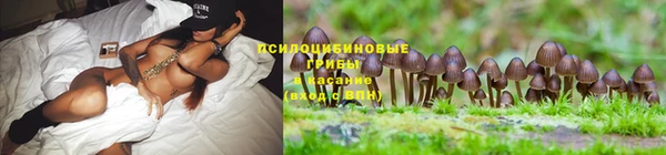 apvp Покровск