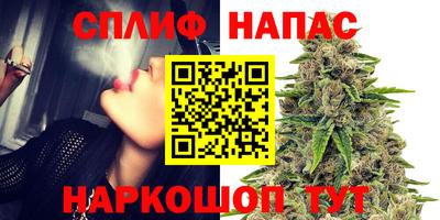 тгк Заводоуковск