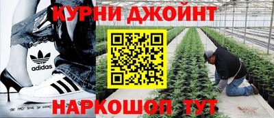 трава Заволжье