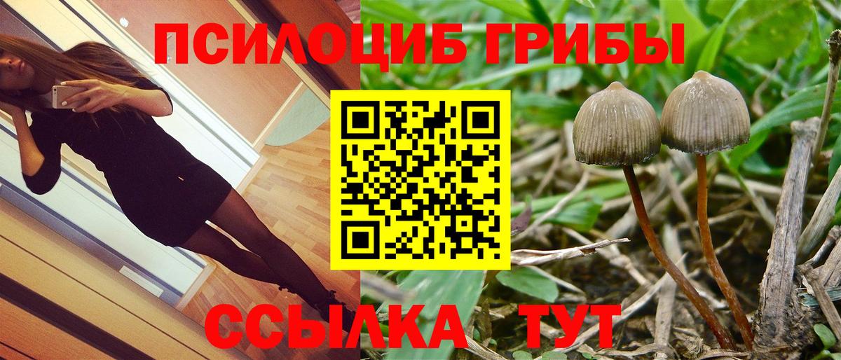 даркнет сайт  Вход с VPN  Уварово  Галлюциногенные грибы Magic Shrooms  Псилоцибиновые грибы Psilocybe 